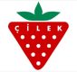 Cilek